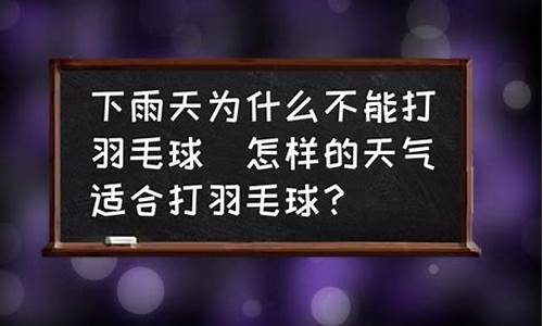 什么天气不能打羽毛球_什么天气不能打羽毛