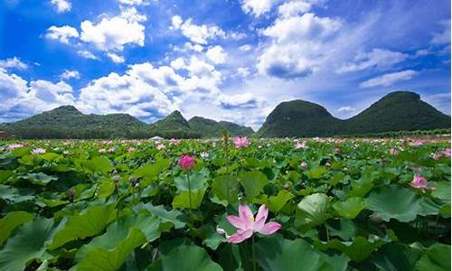 普者黑国庆天气预报_普者黑近日天气