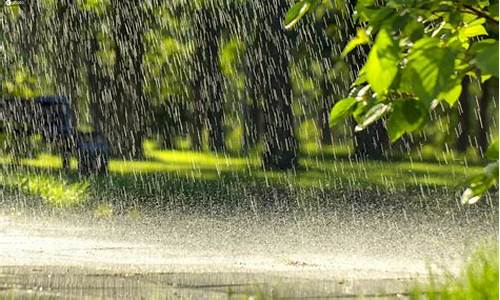 夏天的午后一阵雷雨过去了阅读题_夏天午后