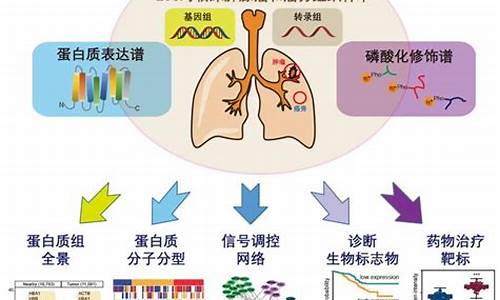 肺基因与天气变化无关_基因会导致肺部发育不好