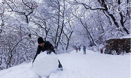 冬天会下雪是一定还是可能_冬季天气会下雪吗