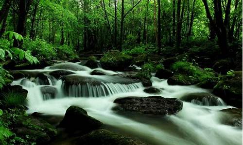 黑龙江虎峰岭天气预报查询_黑龙江虎峰岭天气预报