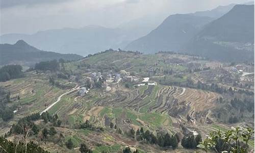 瑞安市金鸡山天气_瑞安市金山村天气