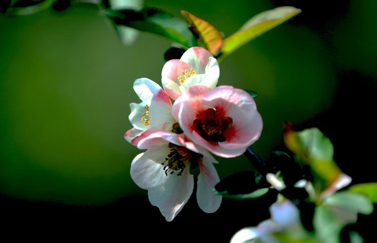 芽庄市今天几点日出_9月芽庄天气预报