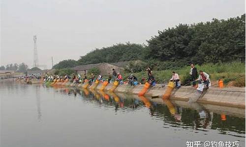 天气转凉鲤鱼和鲫鱼在深水还是浅水_天气凉了鲤鱼在深水中