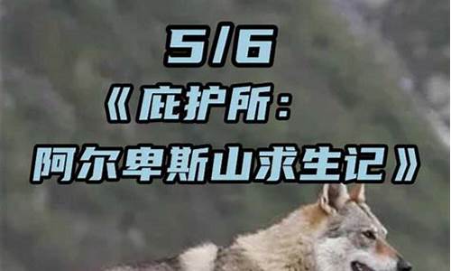 什么动物是恶劣的天气呢_什么动物是恶劣的天气