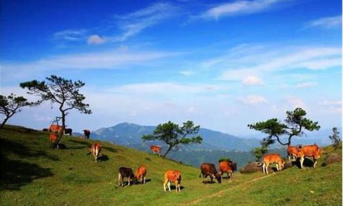 广东哪里天气最美呢_广东哪里天气最美