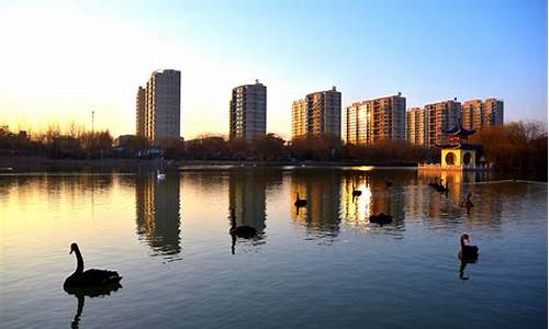 邯郸广平天气15天预报_河北省邯郸市广平县天气