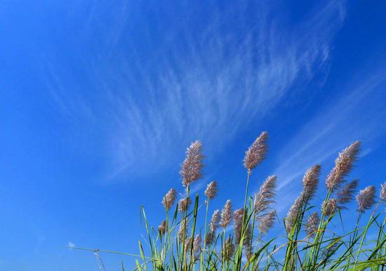 上海实时天气穿衣指南