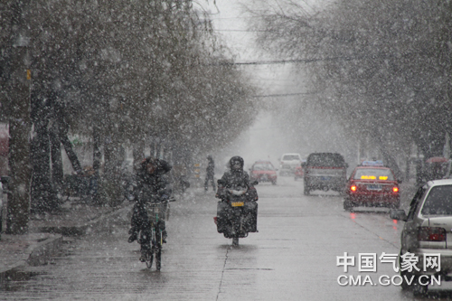 上海明天气象预报(上海未来15天天气查询)