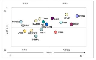 中国云计算市场排名第一的是