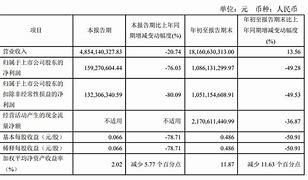 瑞芯微增收不增利，净利润腰斩，公司拟押注算力改善业绩-第1张图片-链上币闻