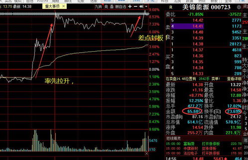 胜通能源主力资金净买入分析市场信心与未来展望-第1张图片-链上币闻