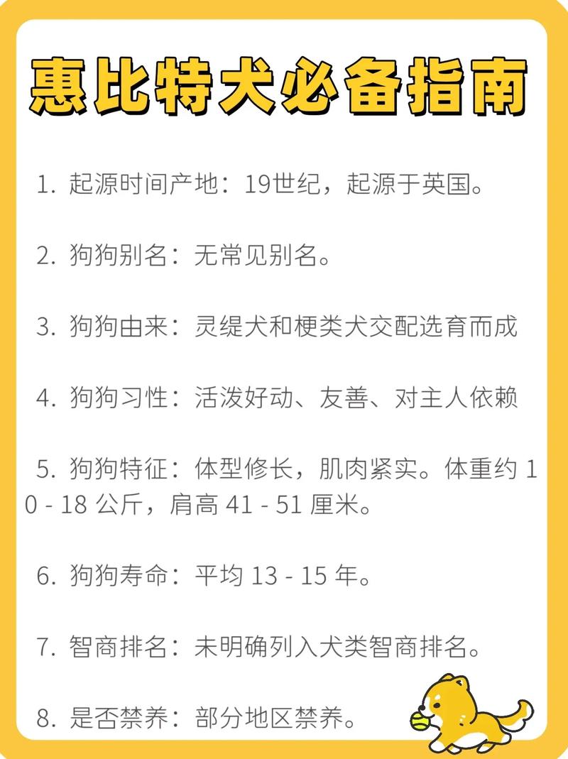 比特犬多少钱一只?-第1张图片-链上币闻